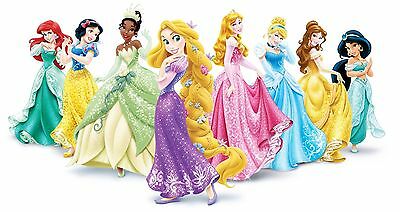 Disney Princess Iron On Transfer 4.25" X 7.5" Only For Light Colored Fabric