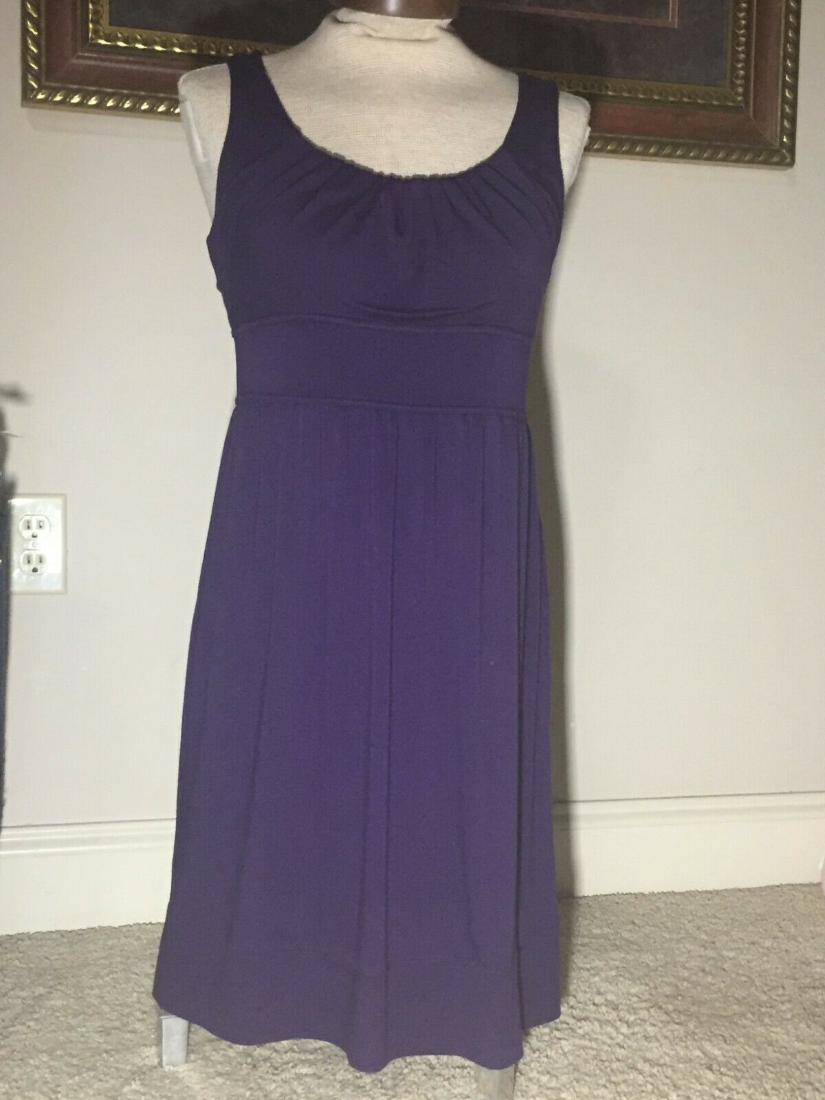 Women's Clothing, Ann Taylor Dress (eggplant Purple) Size 4 With Zipper On Side