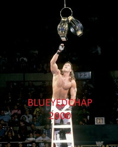 Shawn Michaels Wrestler 8 X 10 Wrestling Photo  Wwf
